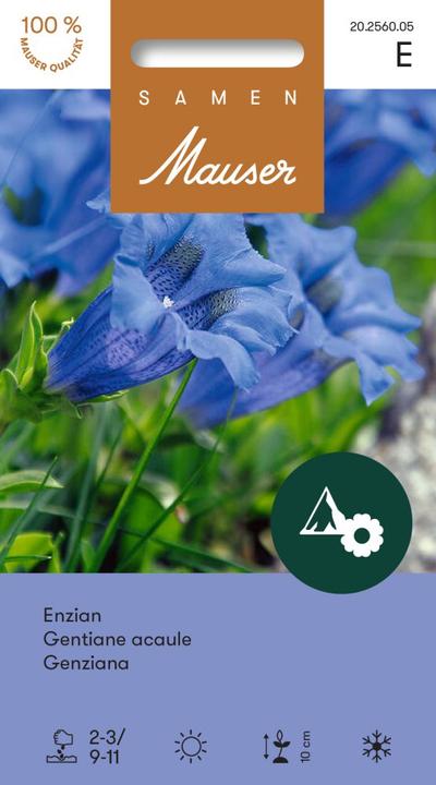 Image du produit Samen Mauser Enzian (Graines de fleurs)