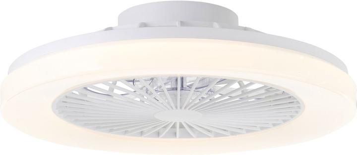 Brilliant Ventilatore da Soffitto con Illuminazione