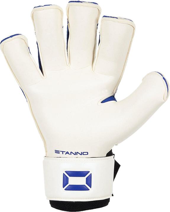 Image du produit Stanno Ultimate Grip Aqua RFH II (8)