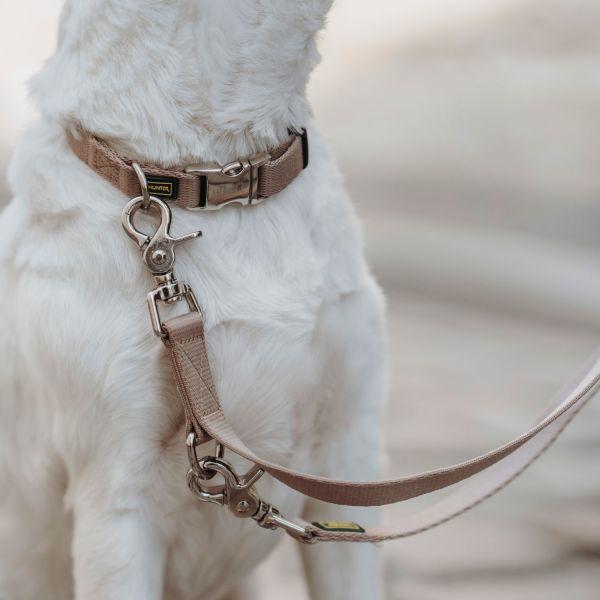 Immagine prodotto Hunter Collare Inari Alu-Strong, L, Beige, Circonferenza del collo: 40 (L, Cane, Generale)