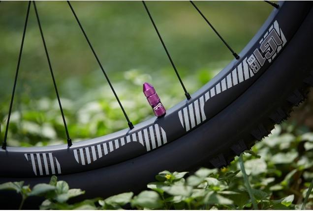 Actual product image e*13 Quick Fill Tubeless Schrader Valves, 16-24mm Depth, 2 pcs., eggplant