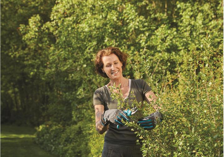 Image du produit Gardena Gant de soin pour arbustes (L)