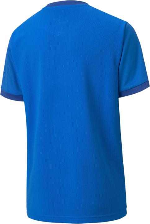Actual product image Puma teamGOAL 23 Jersey jr-704160 (140)