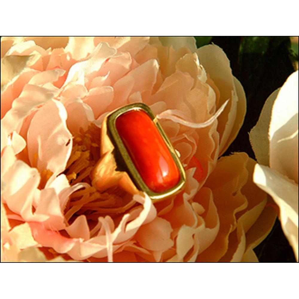 Thumbnail - Cokin Nahlinse P101 +1 dpt (84 mm, Nahlinsen), Objektivfilter, Schwarz