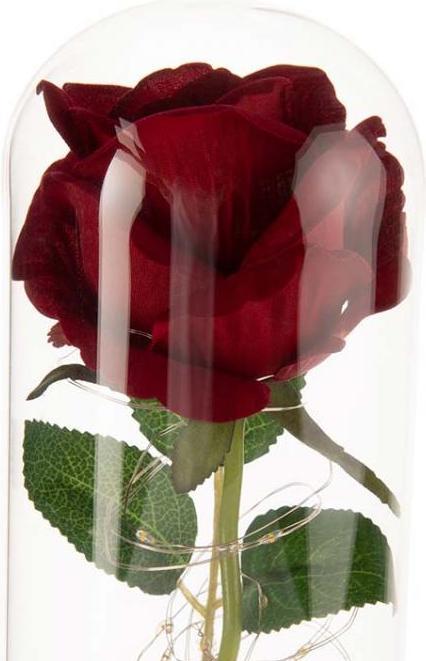 Produktbild TOP Ewige Rose