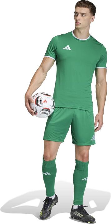 Actual product image Adidas Entrada T-Shirt (M)