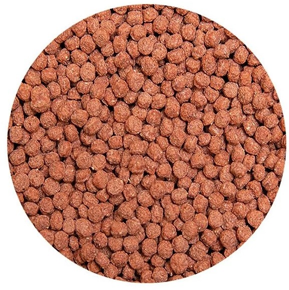 Immagine prodotto Kobre San Pond Fish Gold e Pond Fish Food (Pesciolino rosso, 1000 ml)