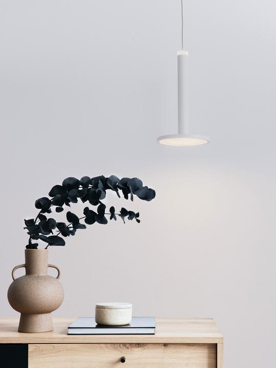 Image du produit Nova Luce Luminaires suspendus (517 lm)