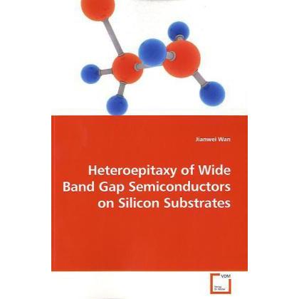Heteroepitaxy of Wide Band Gap Semiconductors on Silicon Substrates, Fachbücher