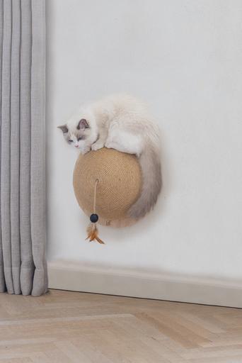 Actual product image Designed by Lotte Half scratching ball Vivi (18.50 cm, Sand)