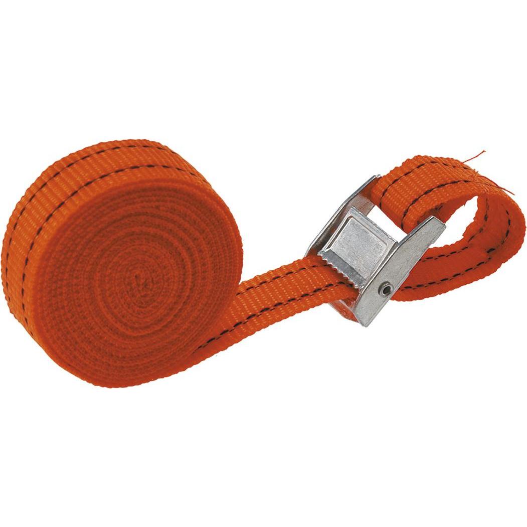 Topex Gepäckgurte 2,5m 25mm 2 Stk. 97x183 (97X183)