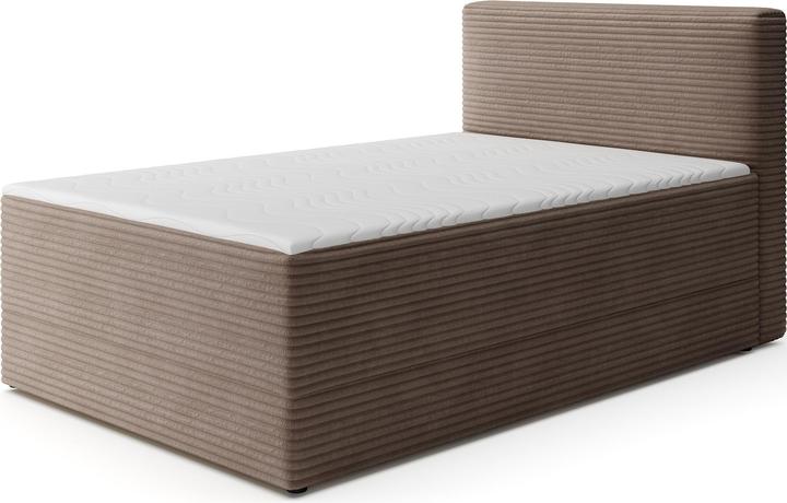 Light Brown Modullo 20