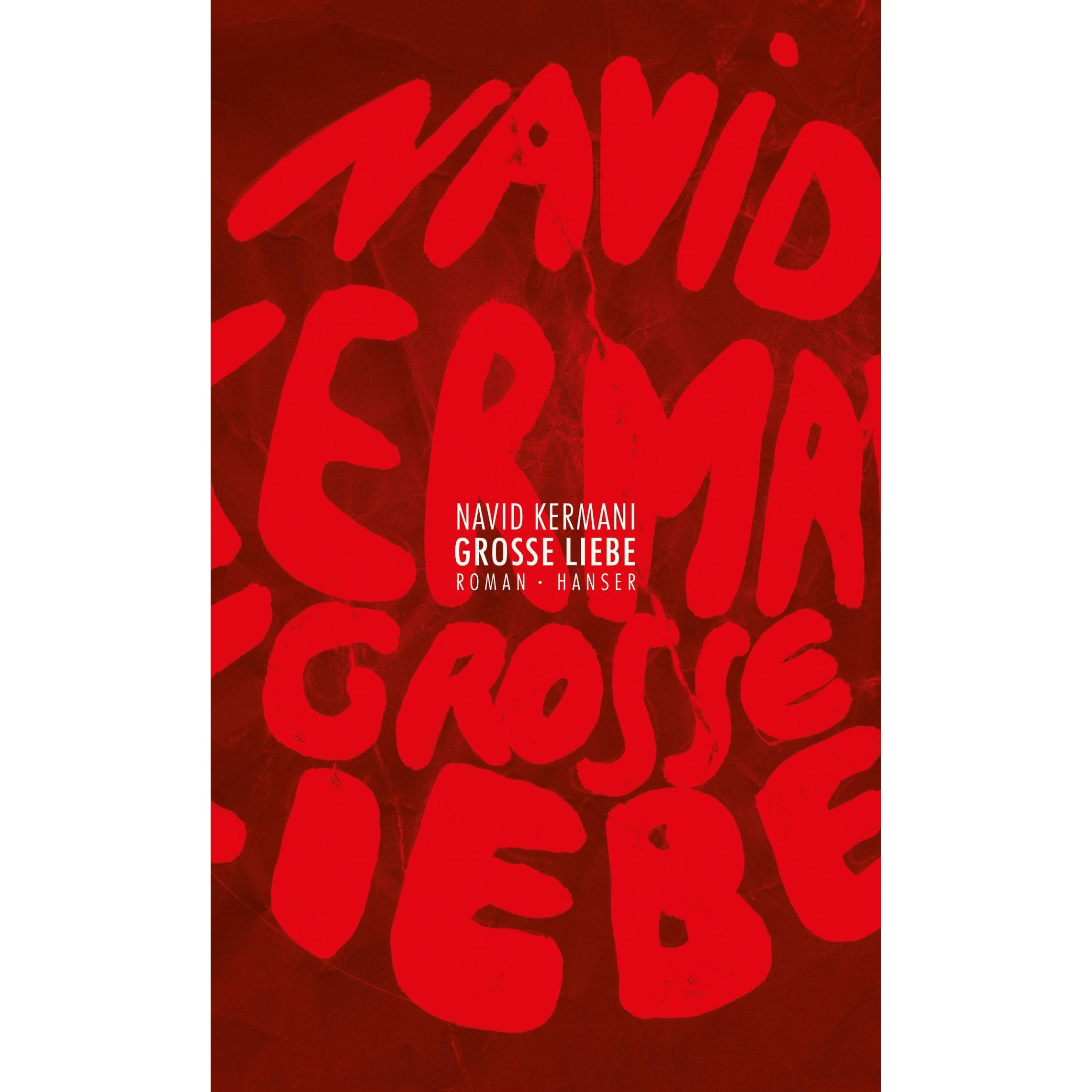 Grosse Liebe, Belletristik von Navid Kermani
