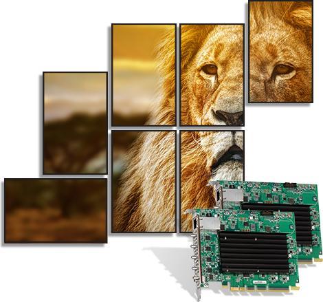 Immagine prodotto Matrox Scheda PCIe standalone QuadHead2Go Q155 4K 1 ingresso HDMI, 4 uscite HDMI e 1 RJ45