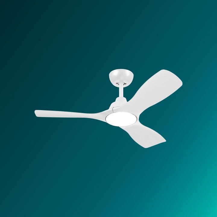 Immagine prodotto Philips Olas