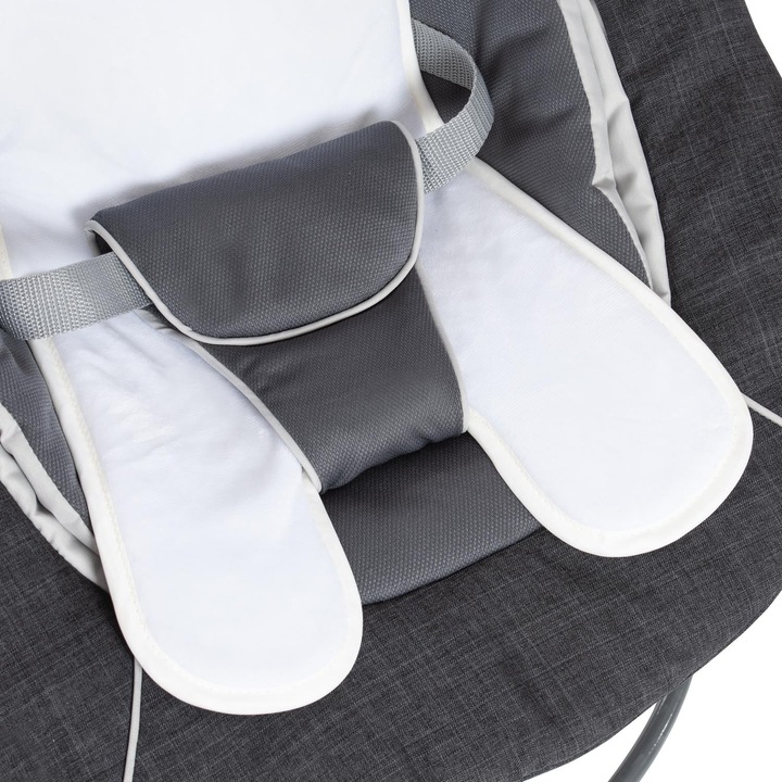 Actual product image Hauck Alpha Bouncer Deluxe