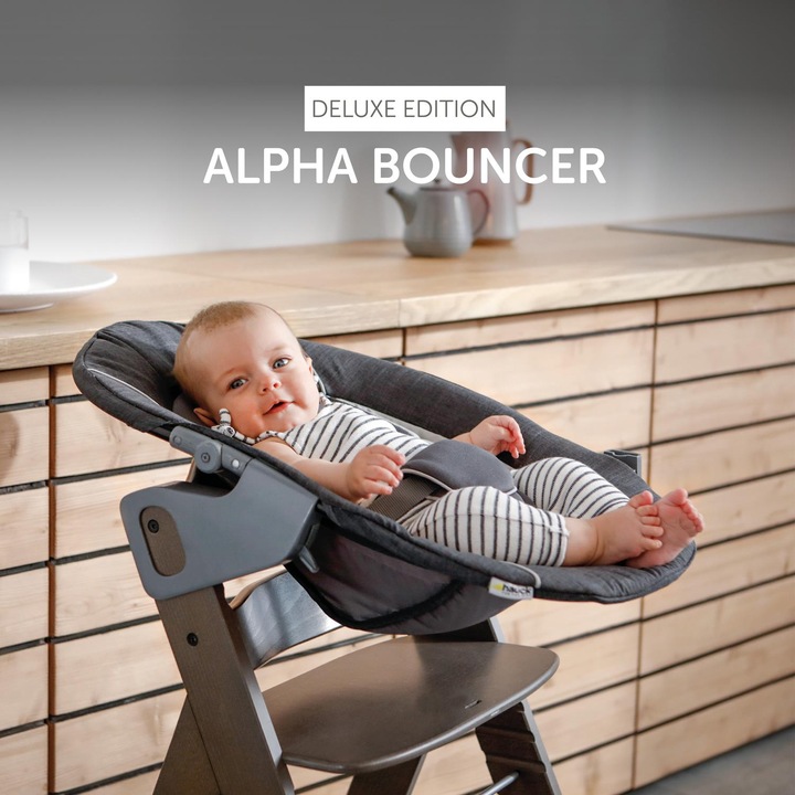 Actual product image Hauck Alpha Bouncer Deluxe