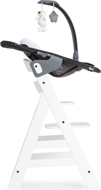 Actual product image Hauck Alpha Bouncer Deluxe