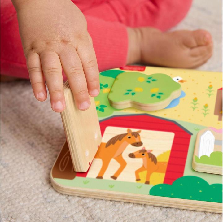 Immagine prodotto Fisher-Price Gioco in legno per fare il bau bau
