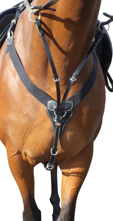 Produktbild Brustgeschirr Eastwood Elastisch