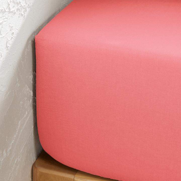 Actual product image La Redoute Interieurs Scenario Coton (80 x 200 cm)