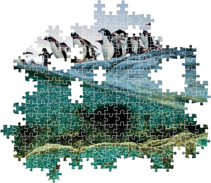 Image du produit Clementoni Puzzle National Geographics - Pingouin, 1000 pièces. (1000 pièces)