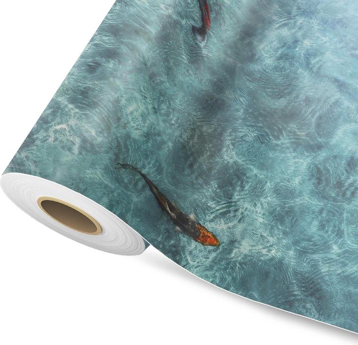 Actual product image Karat Koi