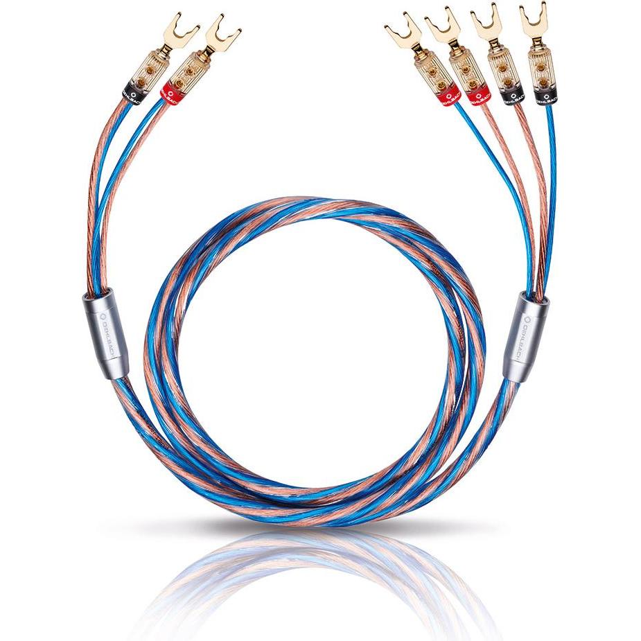 Oehlbach Bi-Tech 4 (4 m, 2.50 mm².), Cavo per altoparlanti, Argento