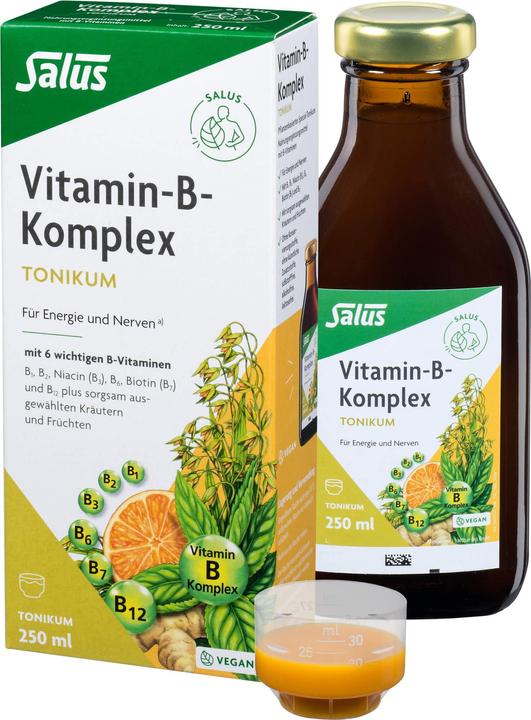 Produktbild Salus Vitamin-B-Komplex (1 Stück, Flüssigkeit, 601 g)