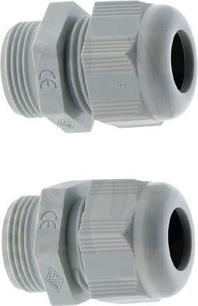 BWT Cable gland niche projector Procopi x2 44000049-P1 (Replacement parts)