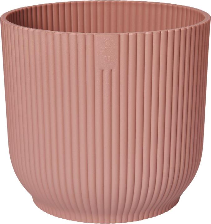 Rose pâle