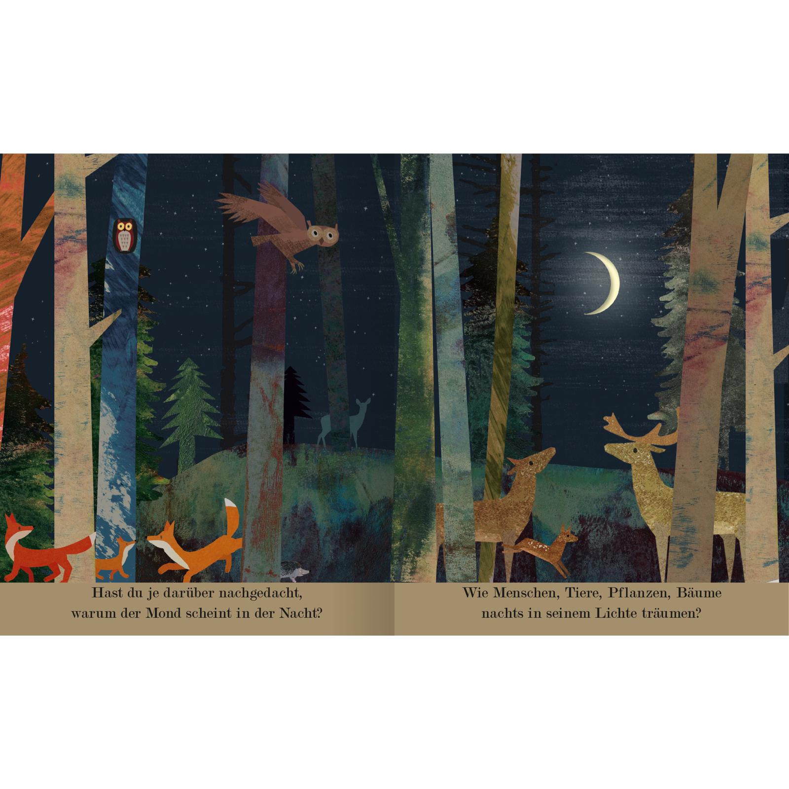 Thumbnail - Mond, Kinderbücher von Britta Teckentrup, Maria Höck