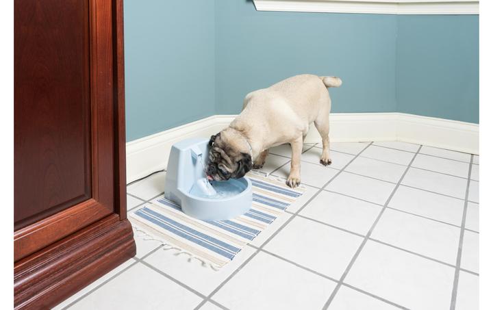 Produktbild Drinkwell Original