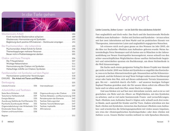 Image du produit Medizin zum Aufmalen: Heilen mit Zeichen und Symbolen. Das Basisbuch Neue Homöopathie (Allemand, Roswitha Stark, 2023)