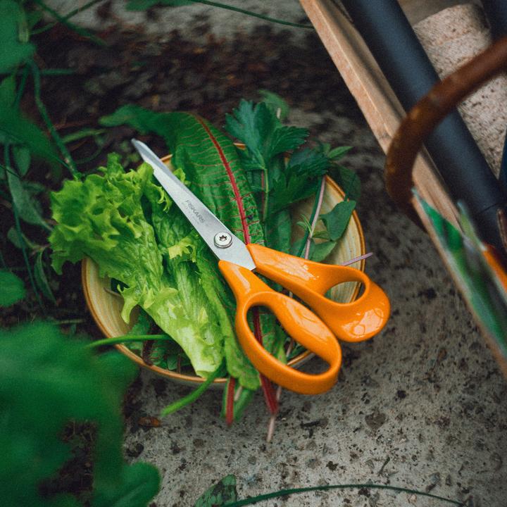 Image du produit Fiskars CREA 1075033 (21 cm)