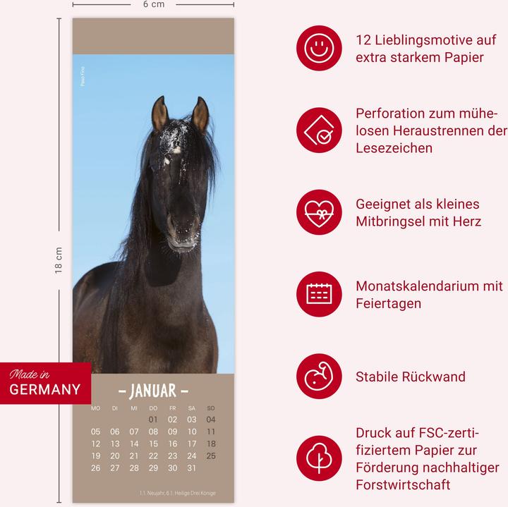 Produktbild Pferde Lesezeichen & Kalender 2026 (6 x 18 cm)