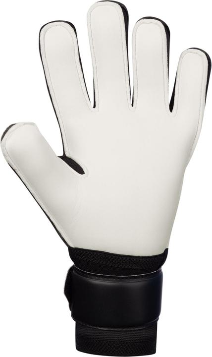 Produktbild JAKO TW-Handschuh Animal Basic RC Protection (12)