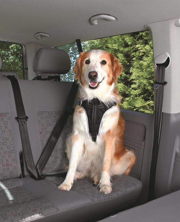 Actual product image Trixie Car Harness Dog Protect (Dog, Reflectors, Foldable)
