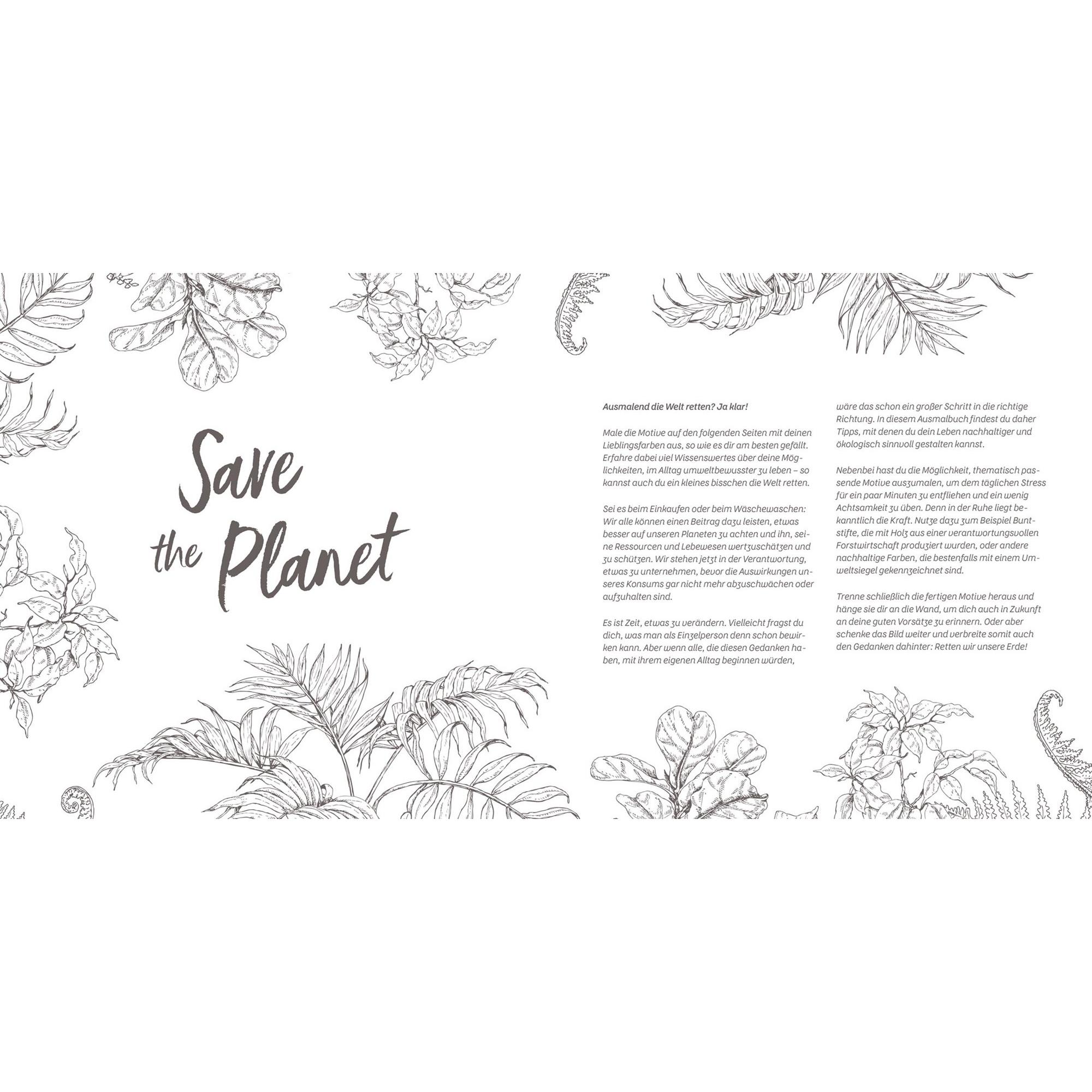 Thumbnail - Edition Fischer Save the Planet – Das Ausmalbuch – Colors for Future!