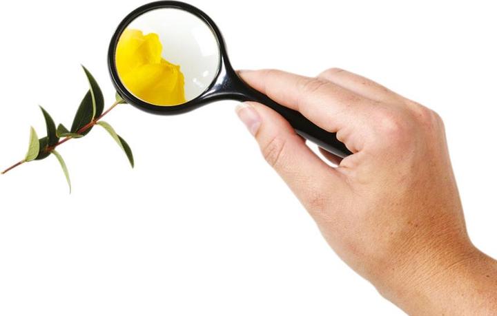 Produktbild Betzold Stiellupe