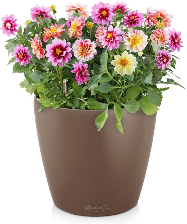 Actual product image Lechuza Classico Color (42 x 39.50 cm)