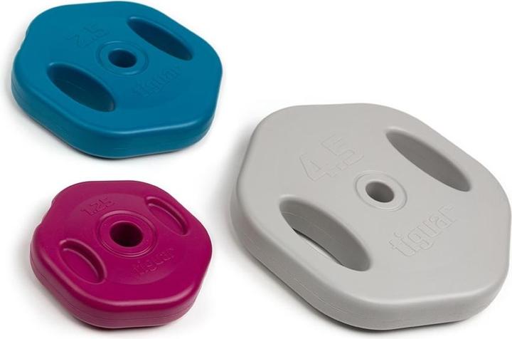 Image du produit Tiguar Power Gym Langhantel