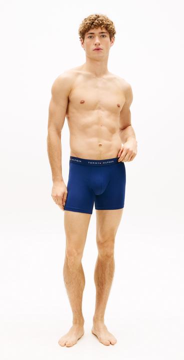 Immagine prodotto Tommy Hilfiger 3p Boxer Brief Dtm (M, confezione da 3)