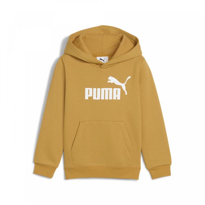 Image du produit Puma Sweat à capuche ESS No. 1 Logo FL PS (116)