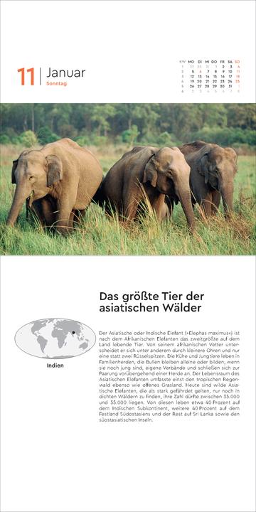 Produktbild Rekorde der Welt - 365-Tage-Abreisskalender 2026