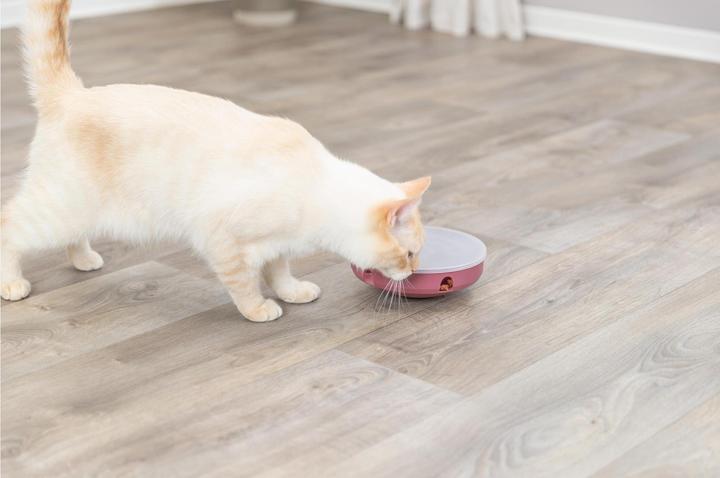 Actual product image Trixie Cat Activity Rocking Maze (Intelligence toy cat)