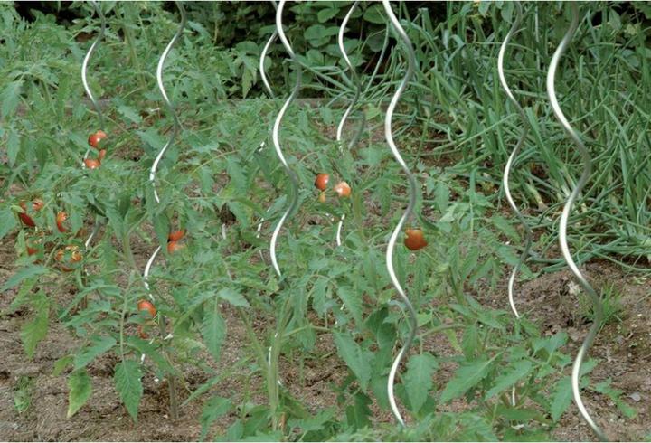 Produktbild Floraworld Tomatenspiralstab 150 cm Ø 6,8 mm verzinkt (150 cm)