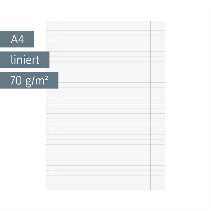 Image du produit Brunnen Reliures à anneaux A4 lignées