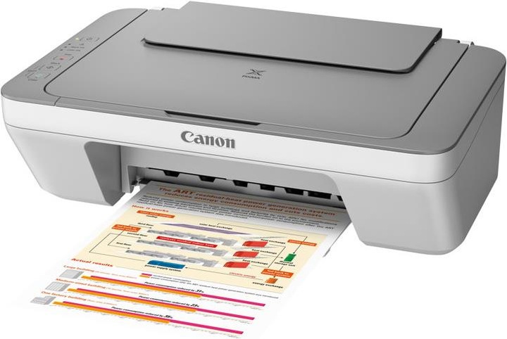 Actual product image Canon Pixma Mg2450 (Ink, Colour)
