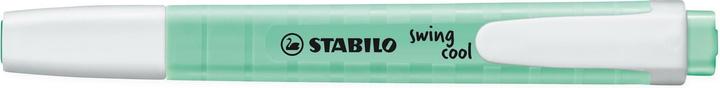 Immagine prodotto STABILO Evidenziatore swing cool Pastel Edition (Verde, 1 mm, 1 x)